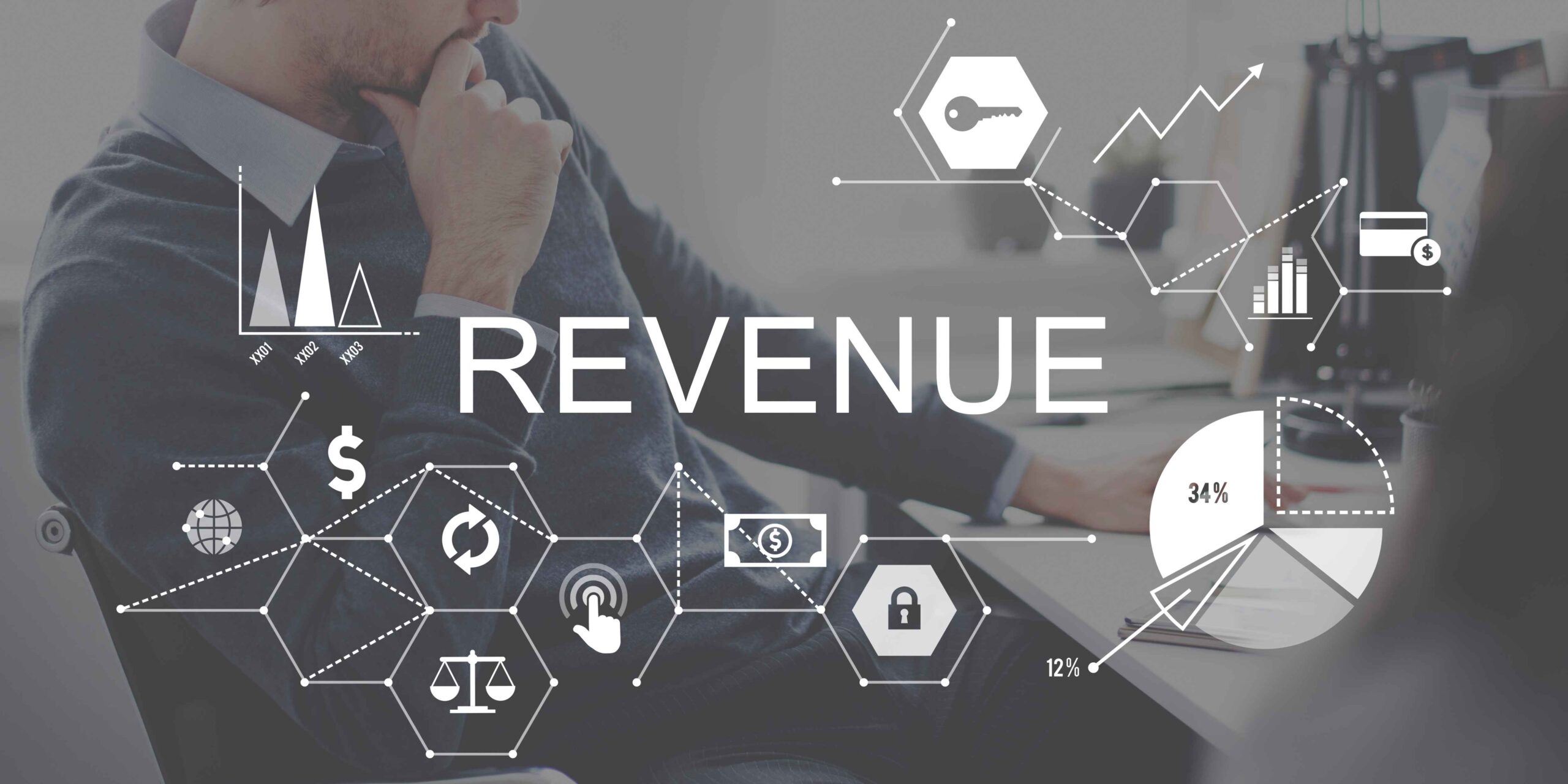 revenue-income-money image